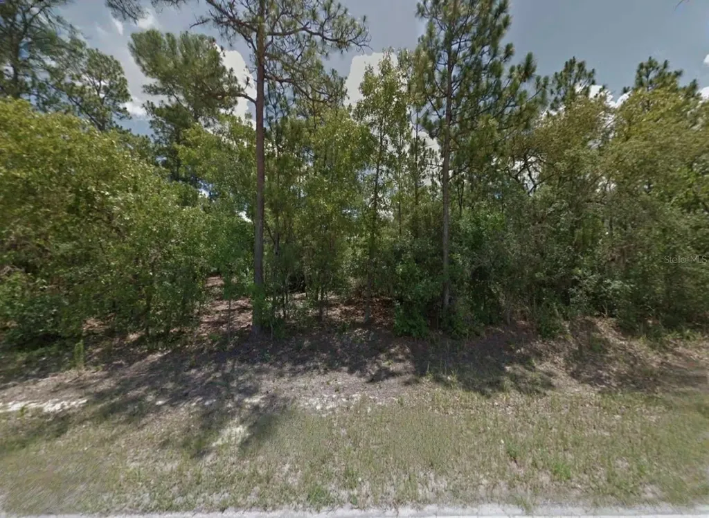 9225 N Citrus Springs Boulevard Citrus Springs FL 34433