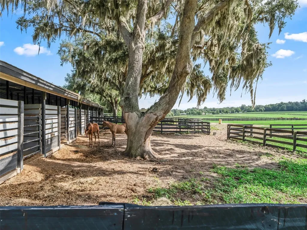 15351 SE 57th Terrace Summerfield FL 34491