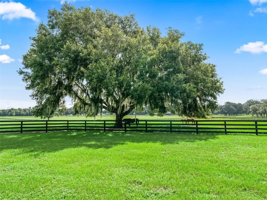 15351 SE 57th Terrace Summerfield FL 34491
