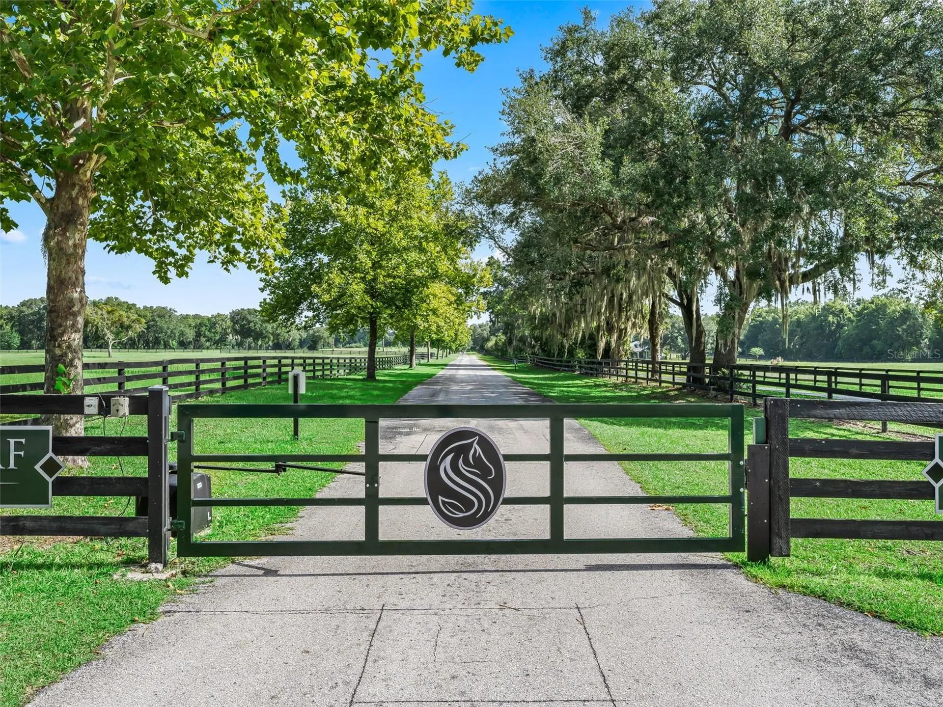 15351 SE 57th Terrace Summerfield FL 34491