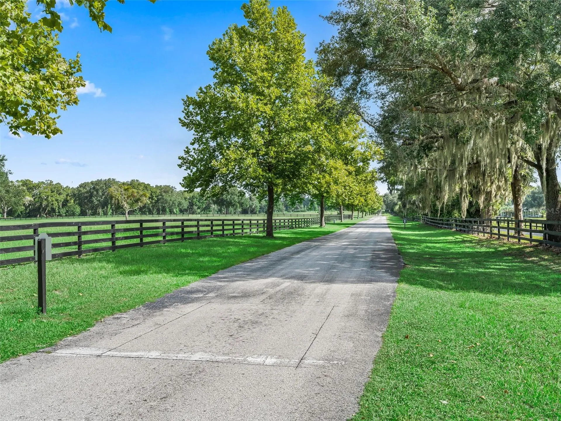 15351 SE 57th Terrace Summerfield FL 34491