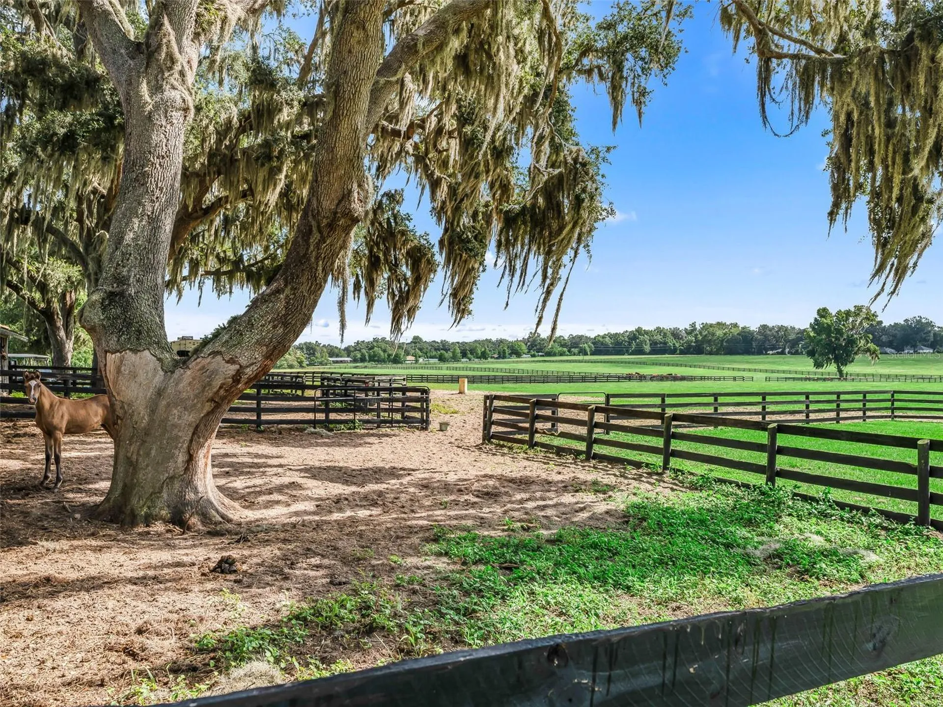 15351 SE 57th Terrace Summerfield FL 34491