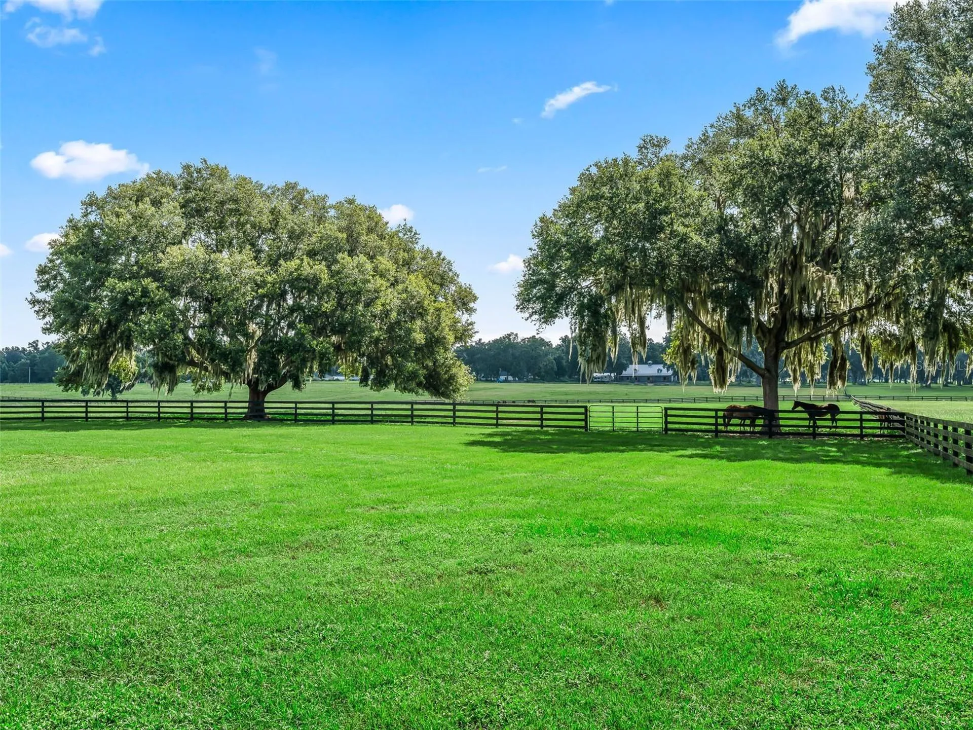 15351 SE 57th Terrace Summerfield FL 34491
