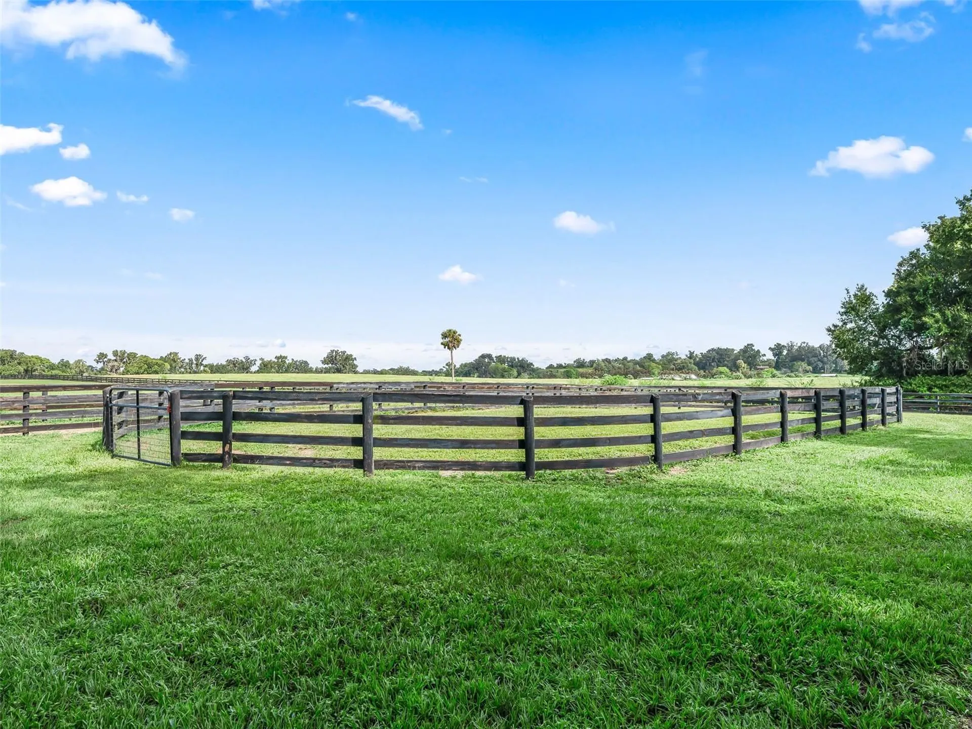 15351 SE 57th Terrace Summerfield FL 34491
