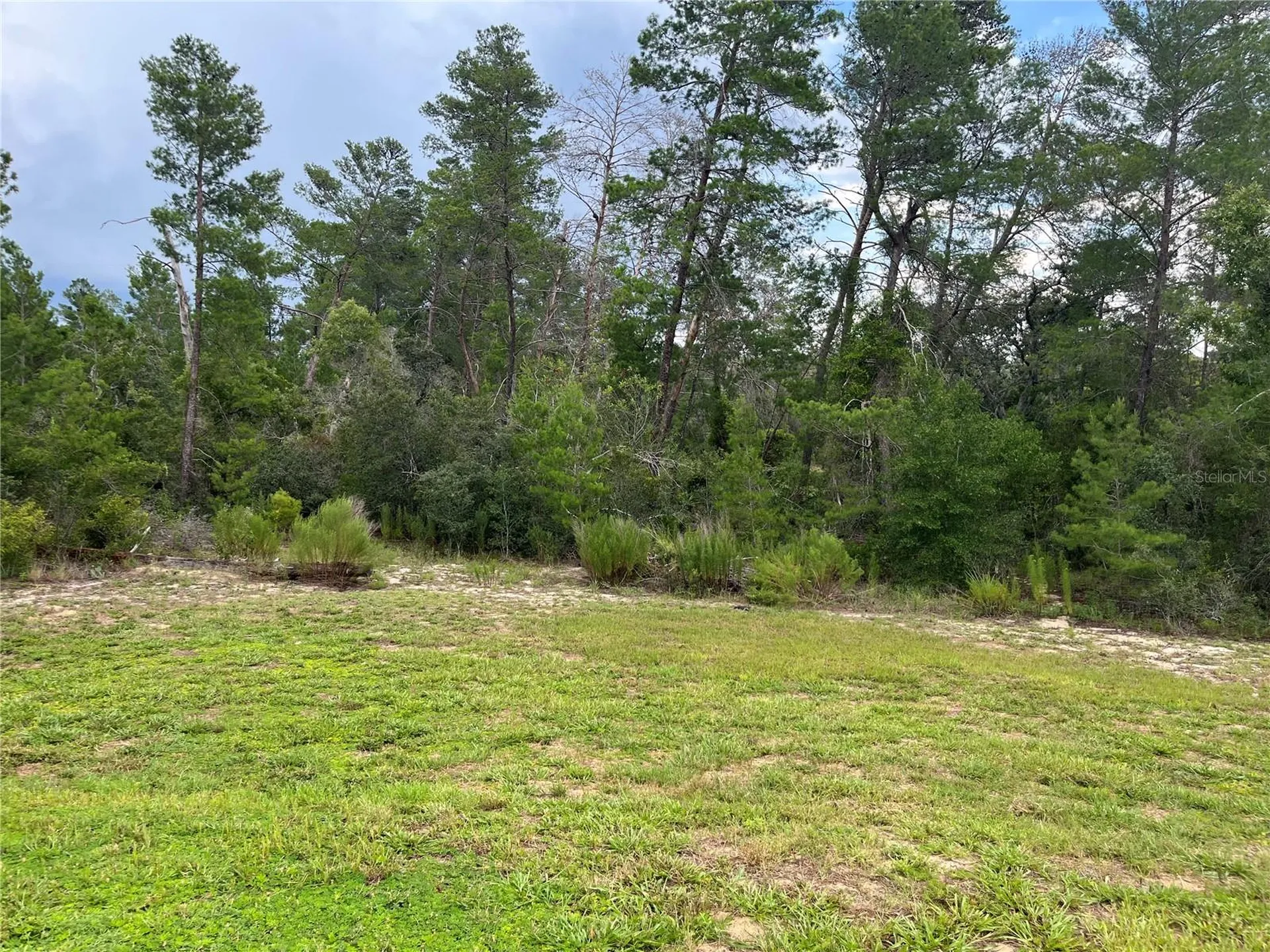 2404 Lema Drive Spring Hill FL 34609