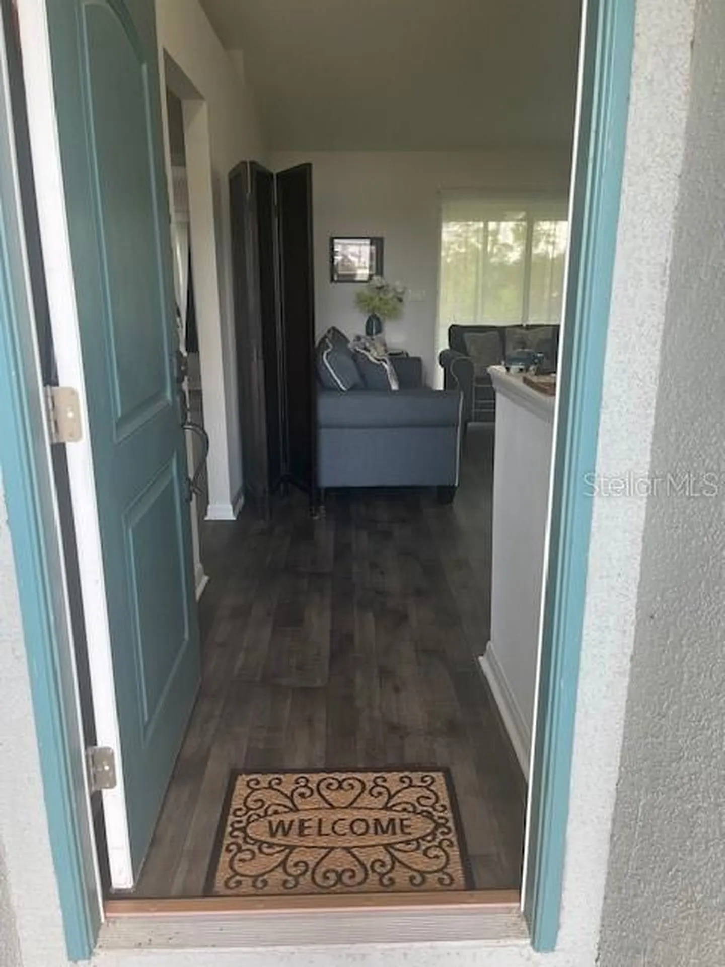 2404 Lema Drive Spring Hill FL 34609