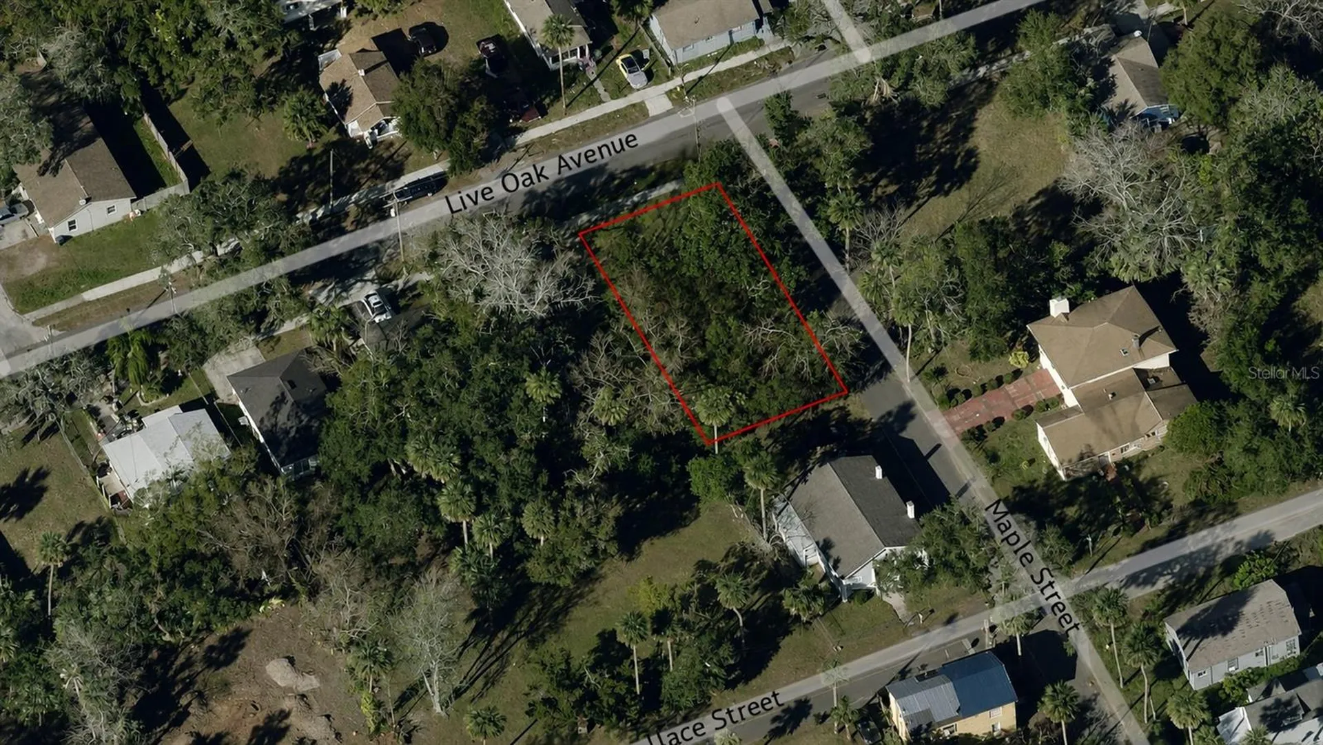 547 Live Oak Avenue Daytona Beach FL 32114