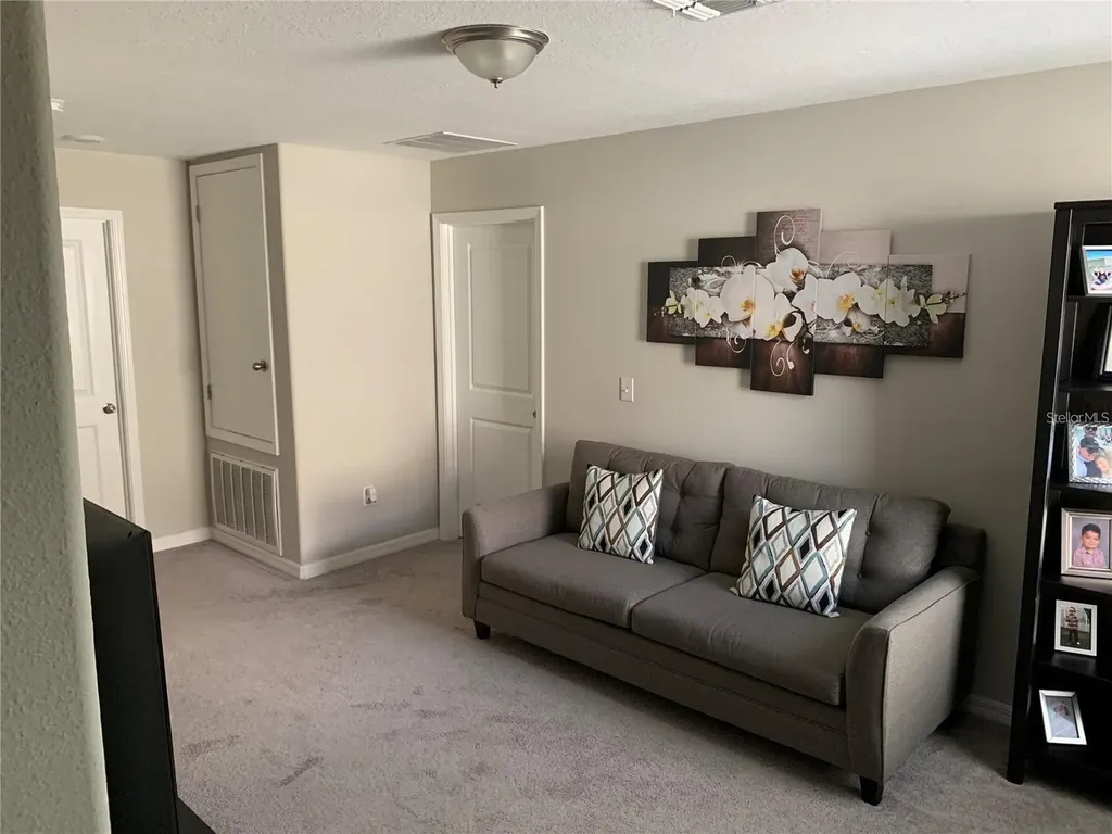 10460 Carloway Hills Drive Wimauma FL 33598