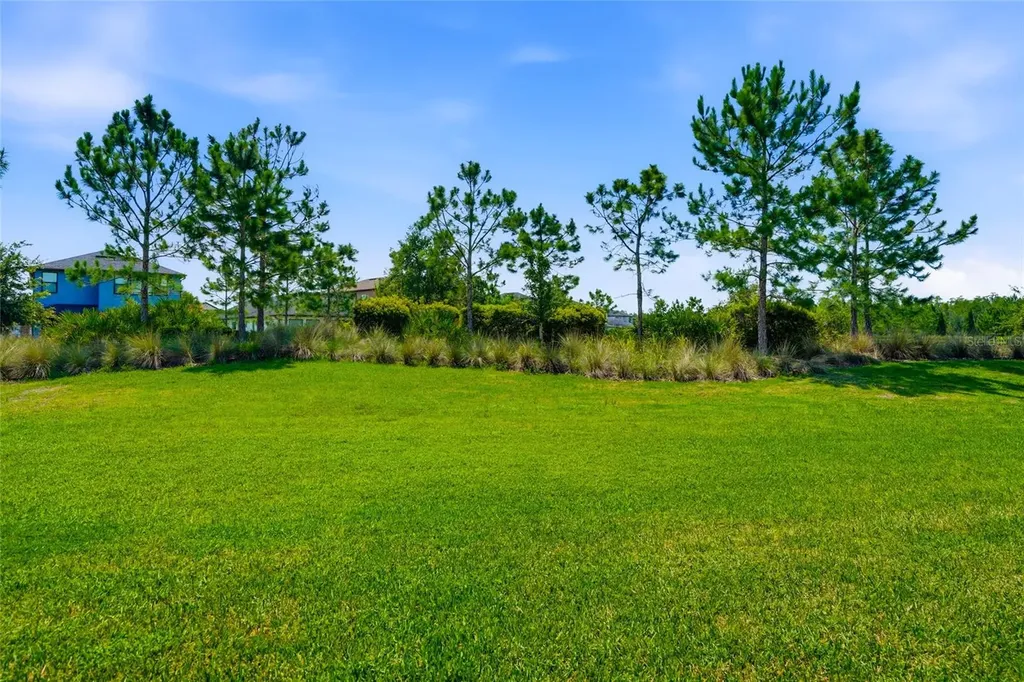 4540 Almada Lane Wesley Chapel FL 33543