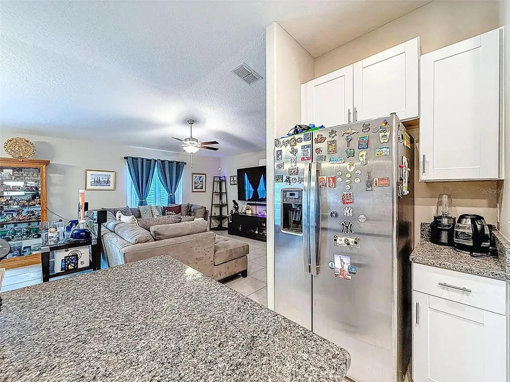 13360 Willow Bluestar Loop Riverview FL 33579