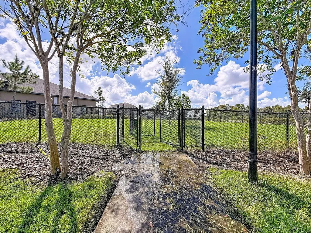 13360 Willow Bluestar Loop Riverview FL 33579