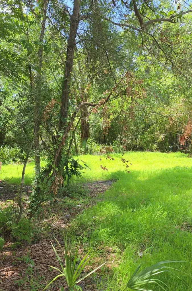 2919 E 25th Avenue Tampa FL 33605