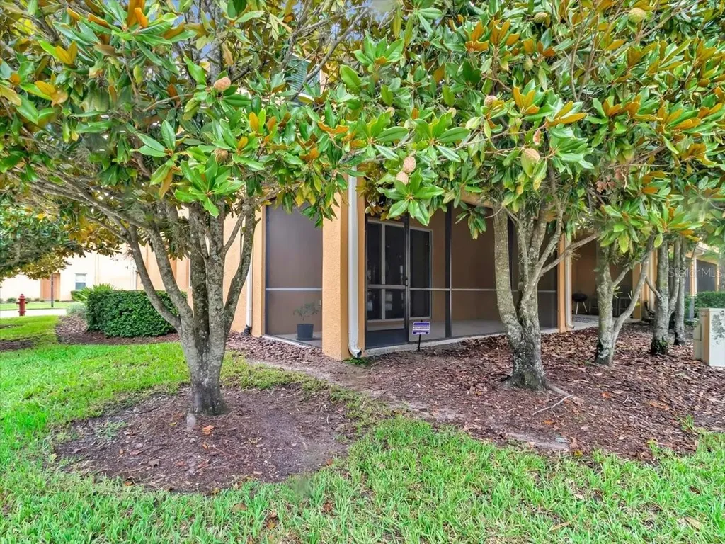 13901 River Willow Place Tampa FL 33637