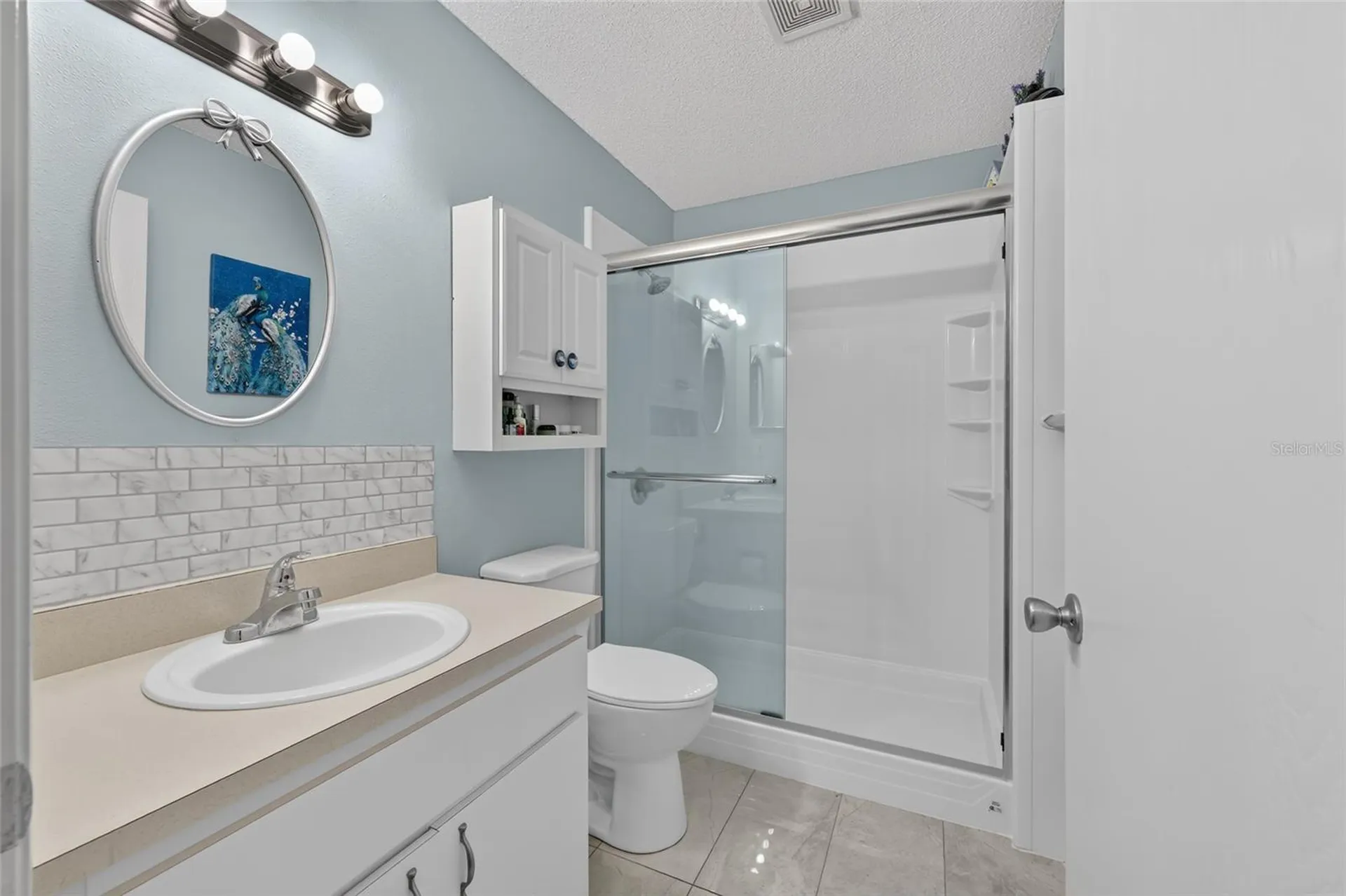 9690 SW 95th Terrace Ocala FL 34481