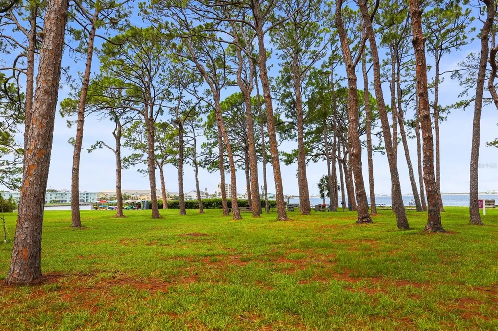 2700 Bayshore Boulevard Dunedin FL 34698