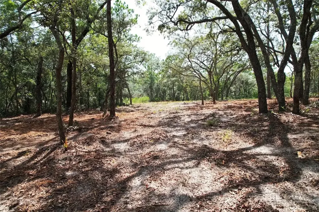 4546 S Evergreen Avenue Homosassa FL 34446