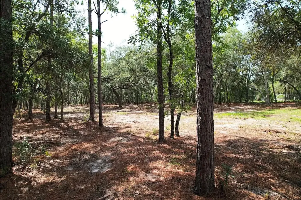 4546 S Evergreen Avenue Homosassa FL 34446