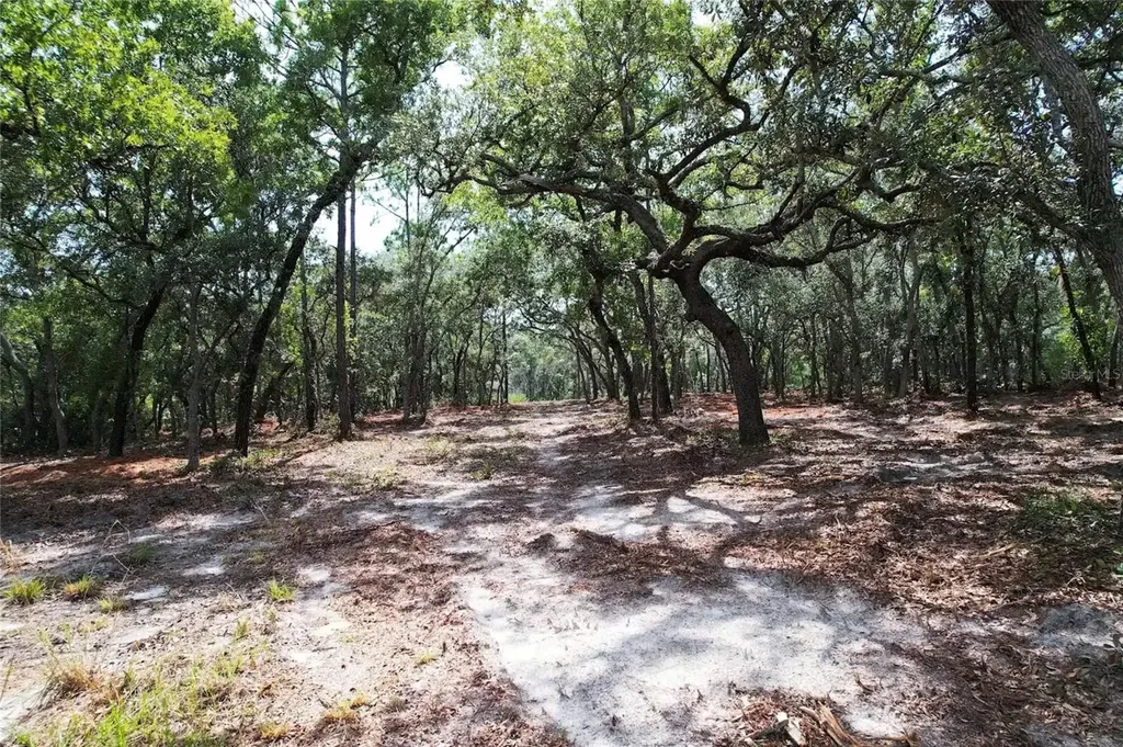 4546 S Evergreen Avenue Homosassa FL 34446