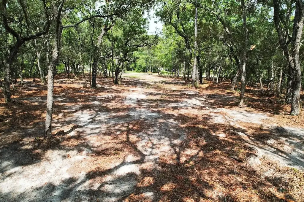 4546 S Evergreen Avenue Homosassa FL 34446
