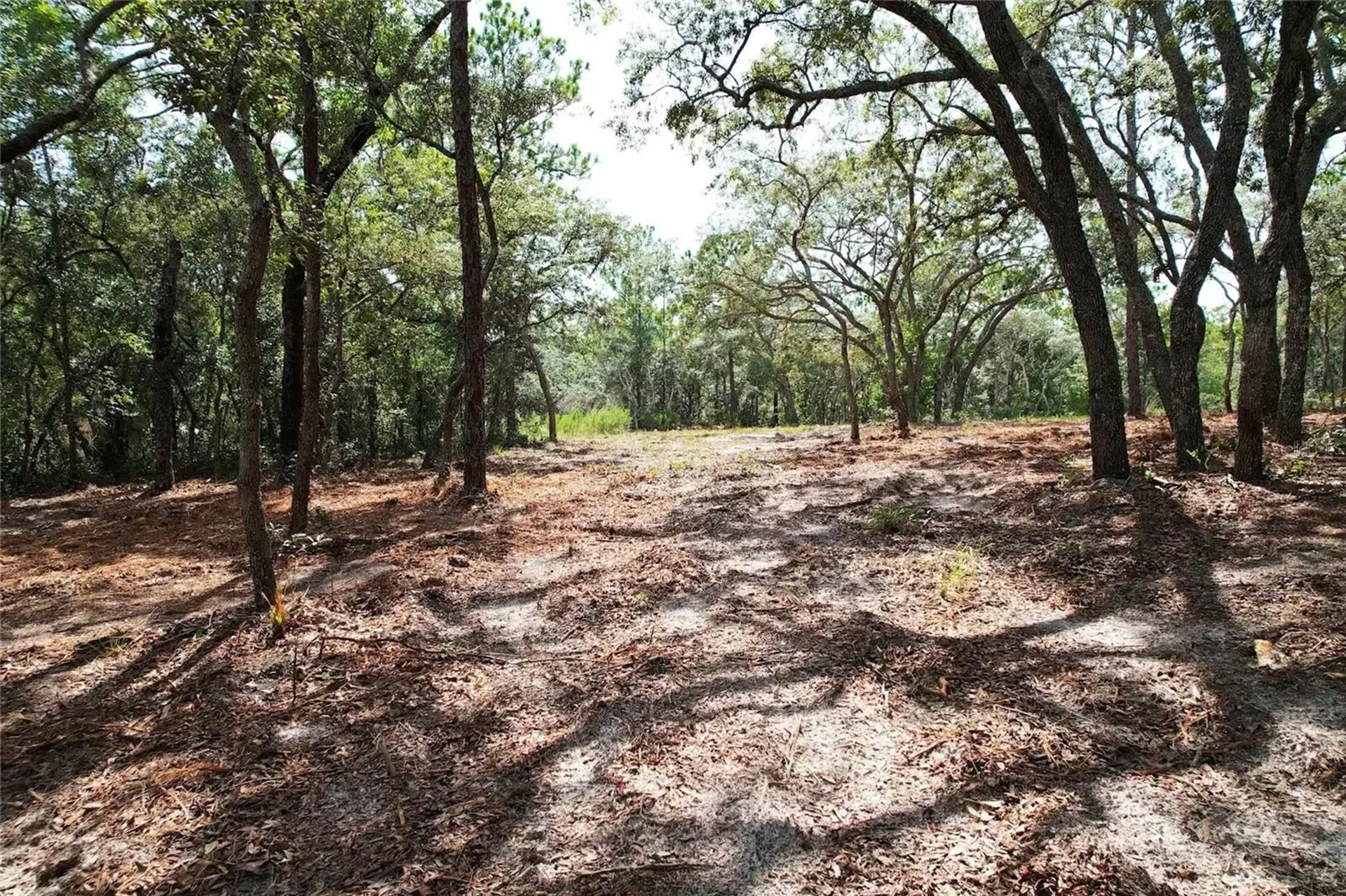 4546 S Evergreen Avenue Homosassa FL 34446