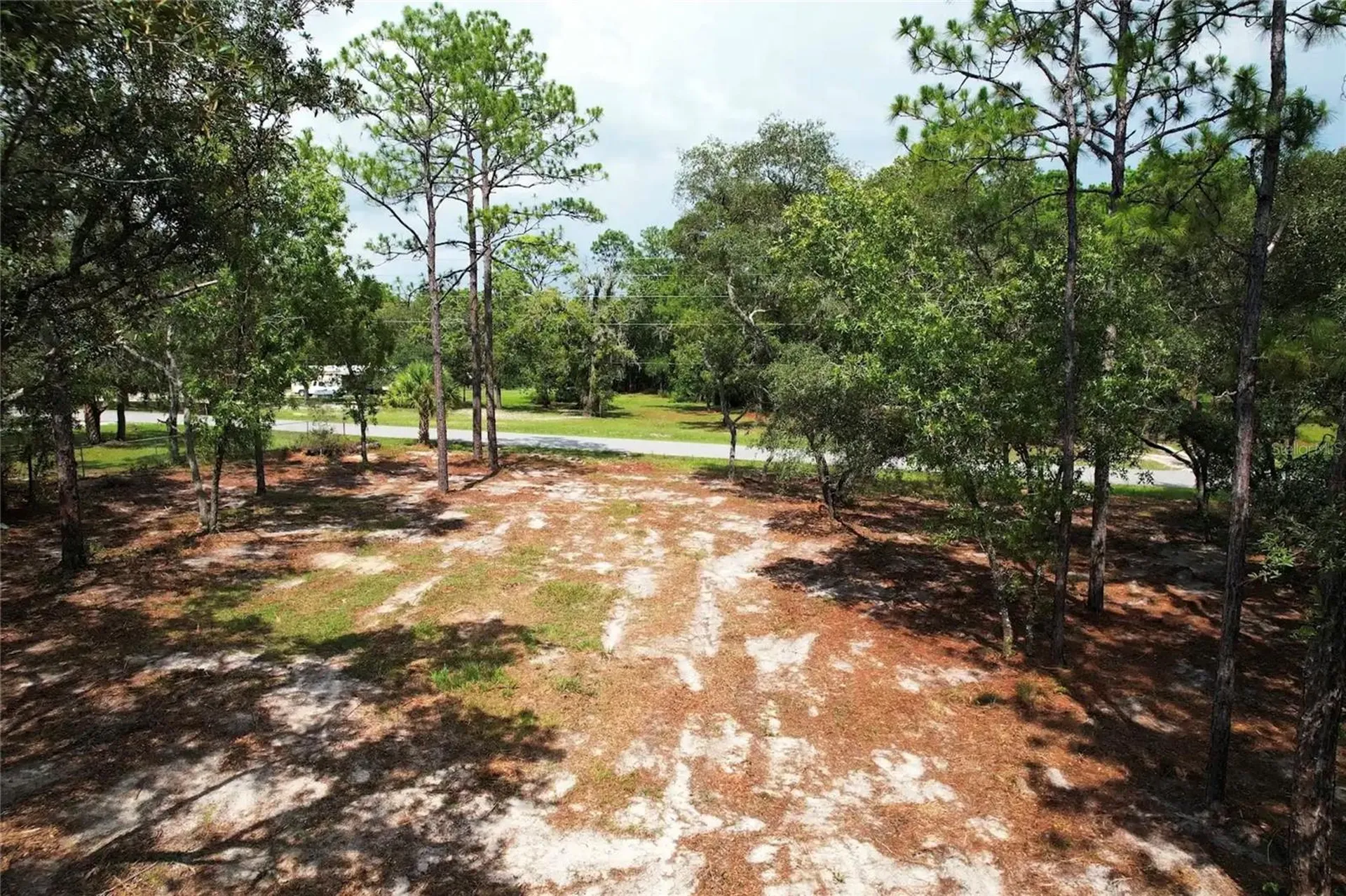 4546 S Evergreen Avenue Homosassa FL 34446