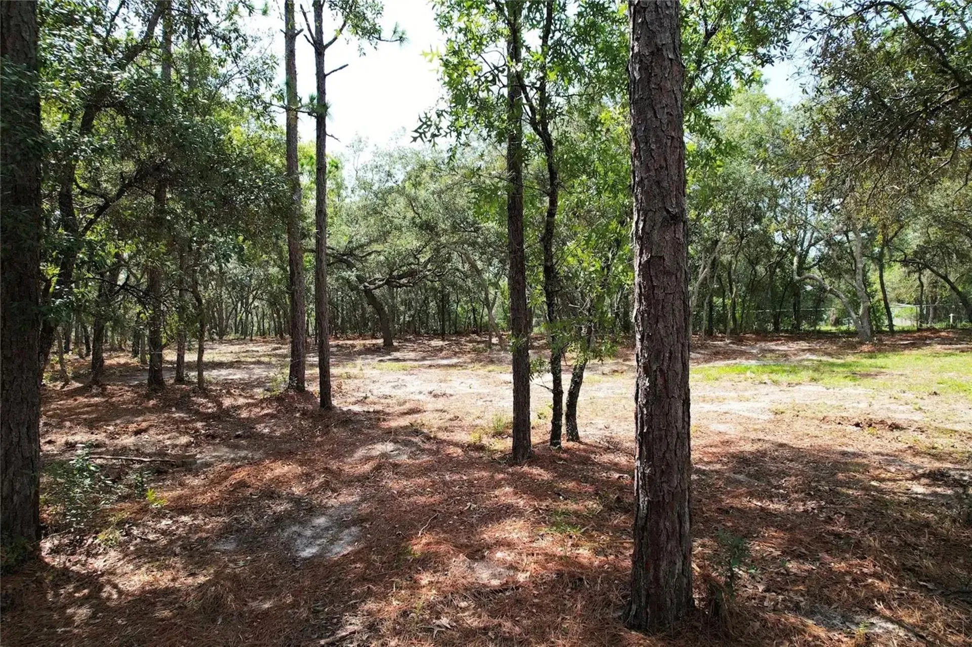 4546 S Evergreen Avenue Homosassa FL 34446