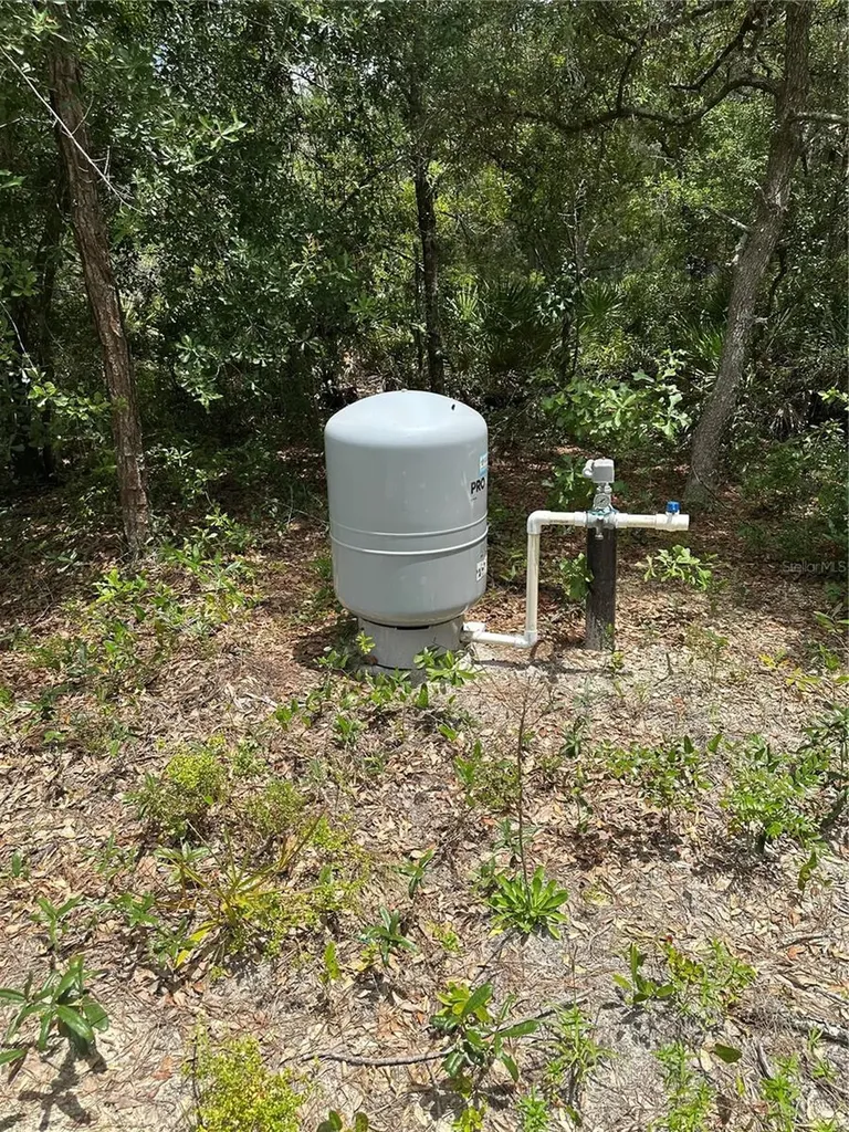 5730 SE County Road 337 Morriston FL 32668