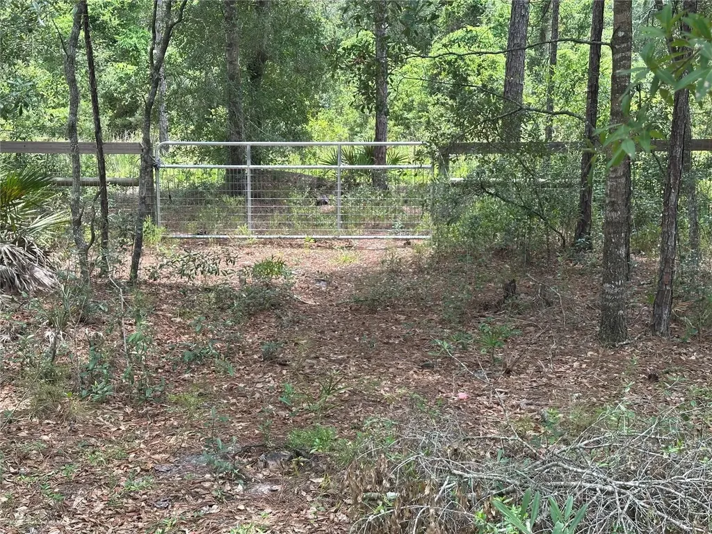 5730 SE County Road 337 Morriston FL 32668