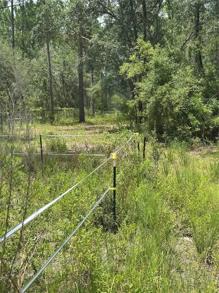 5730 SE County Road 337 Morriston FL 32668