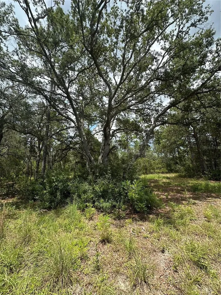 5730 SE County Road 337 Morriston FL 32668