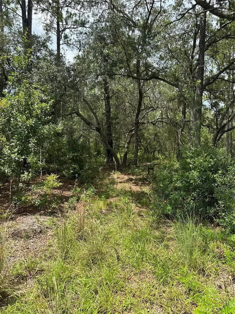 5730 SE County Road 337 Morriston FL 32668