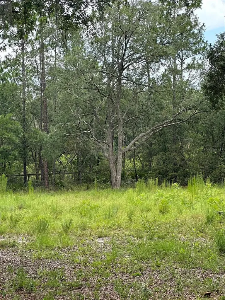 5730 SE County Road 337 Morriston FL 32668