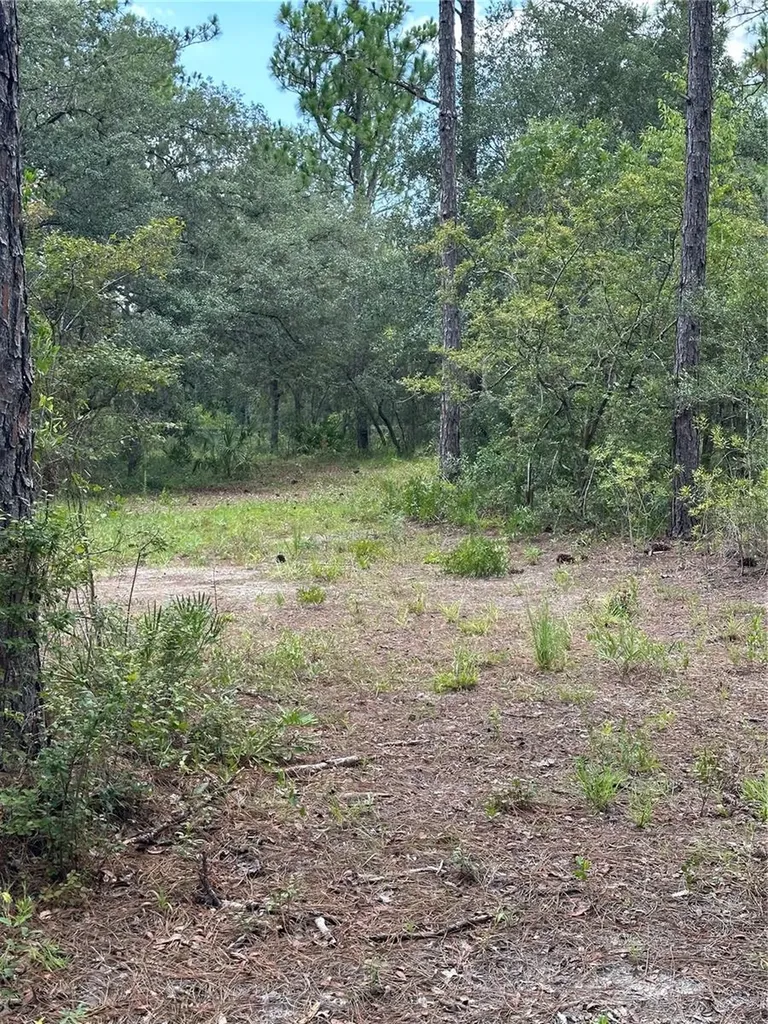 5730 SE County Road 337 Morriston FL 32668