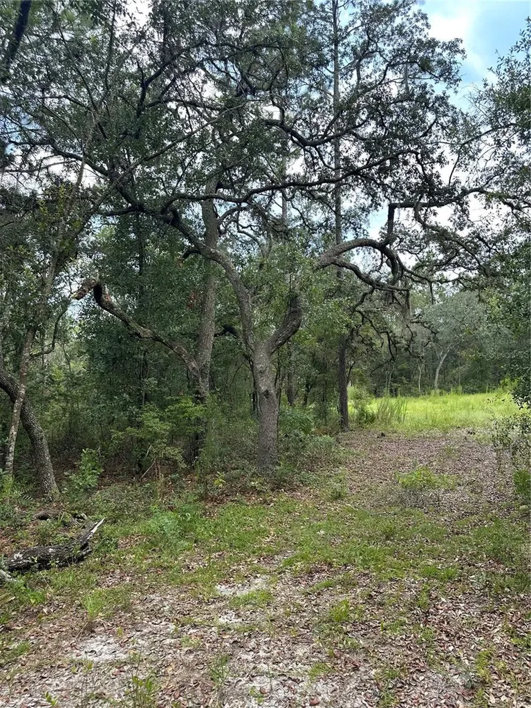 5730 SE County Road 337 Morriston FL 32668