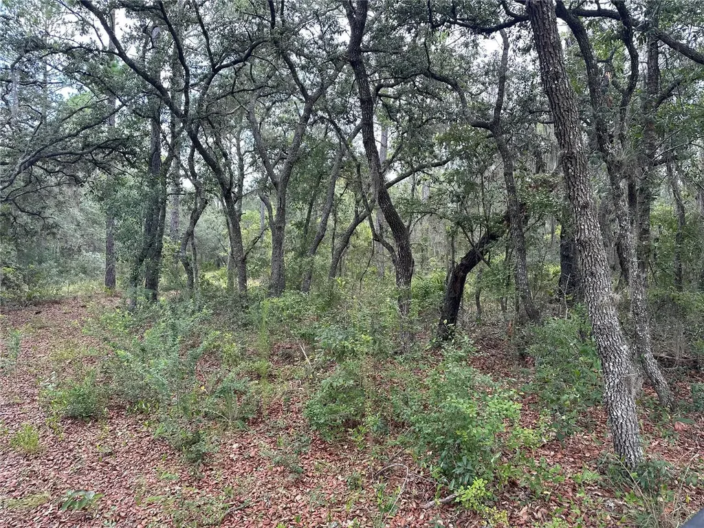 5730 SE County Road 337 Morriston FL 32668