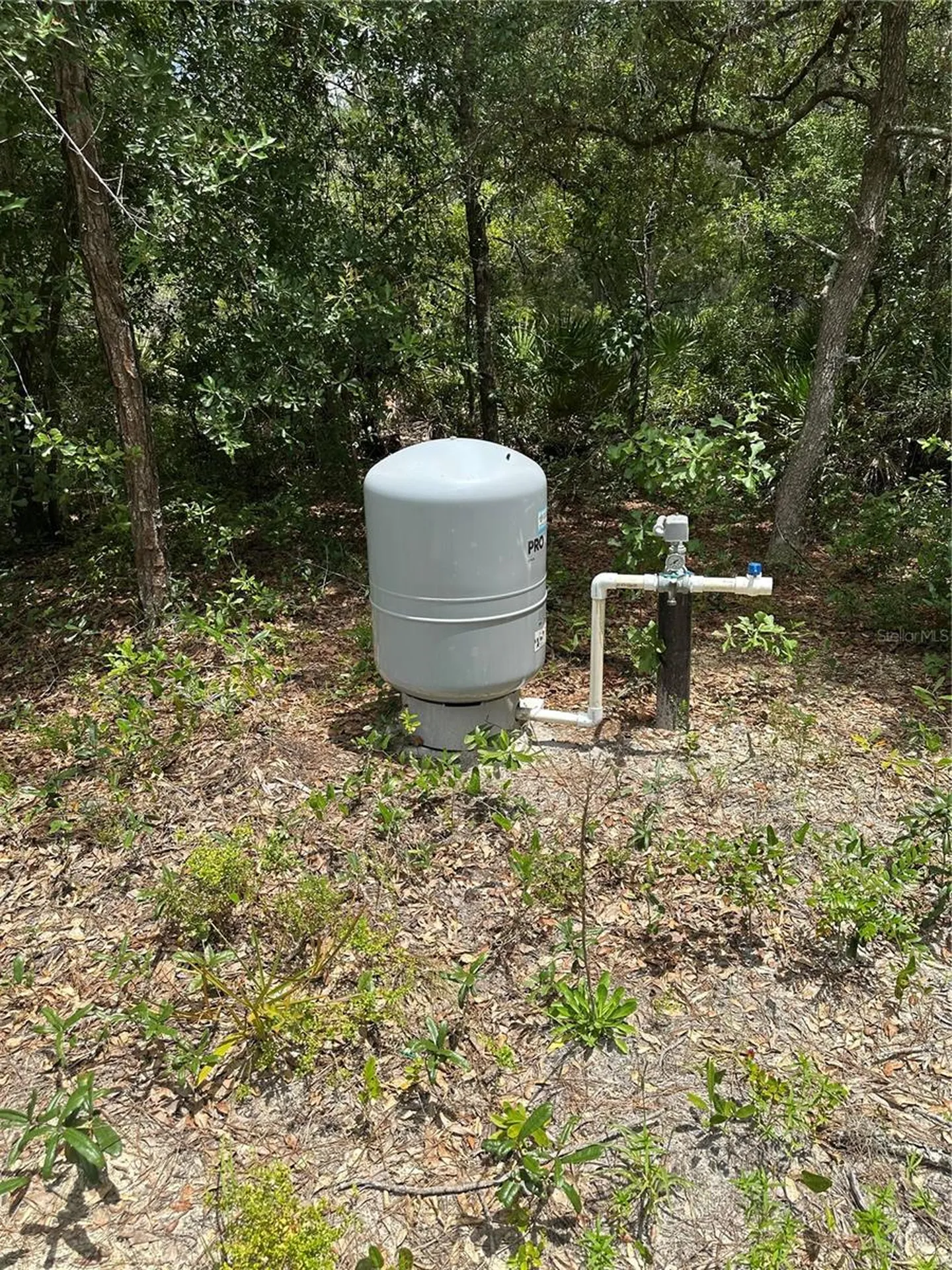 5730 SE County Road 337 Morriston FL 32668