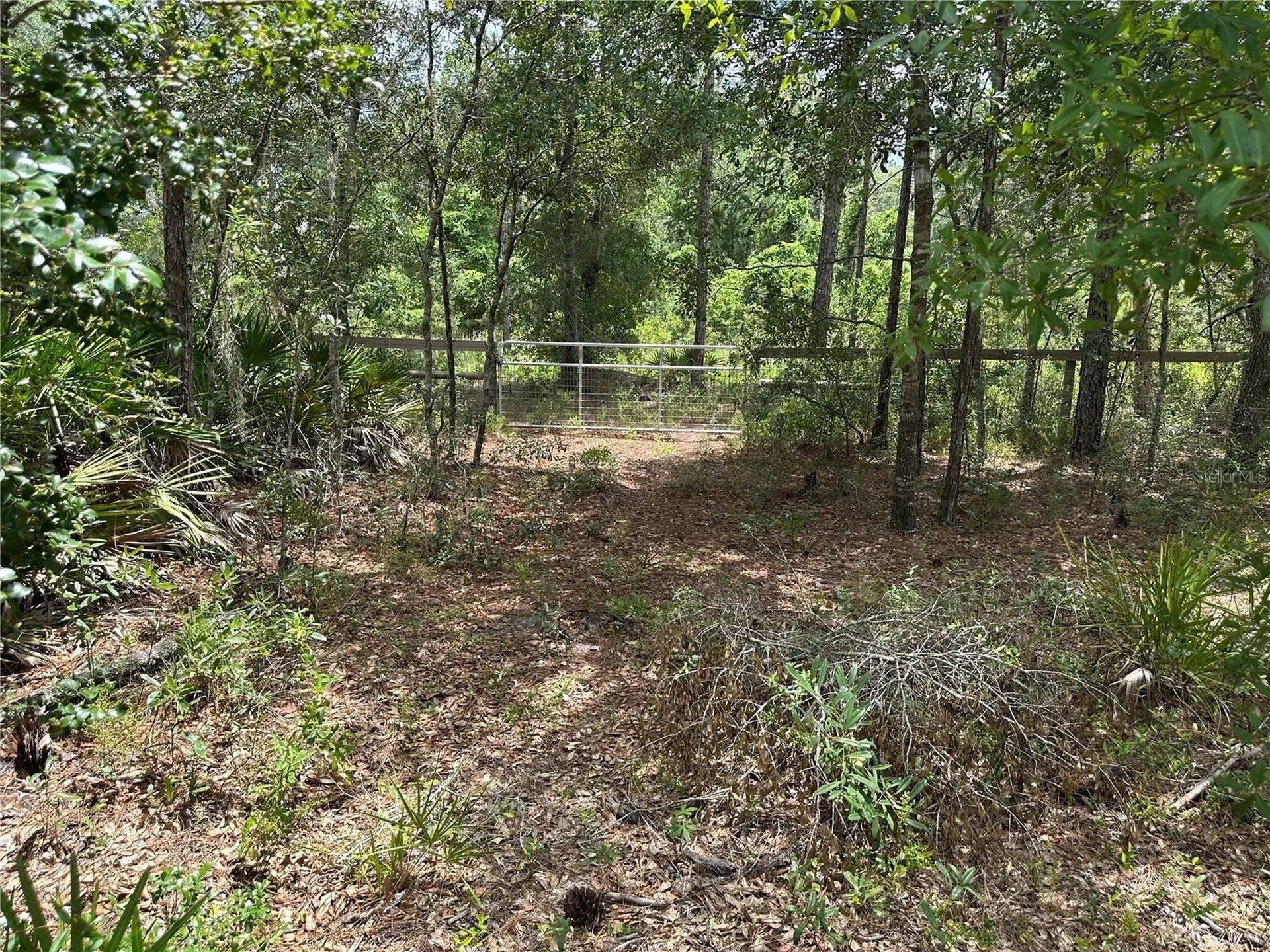 5730 SE County Road 337 Morriston FL 32668