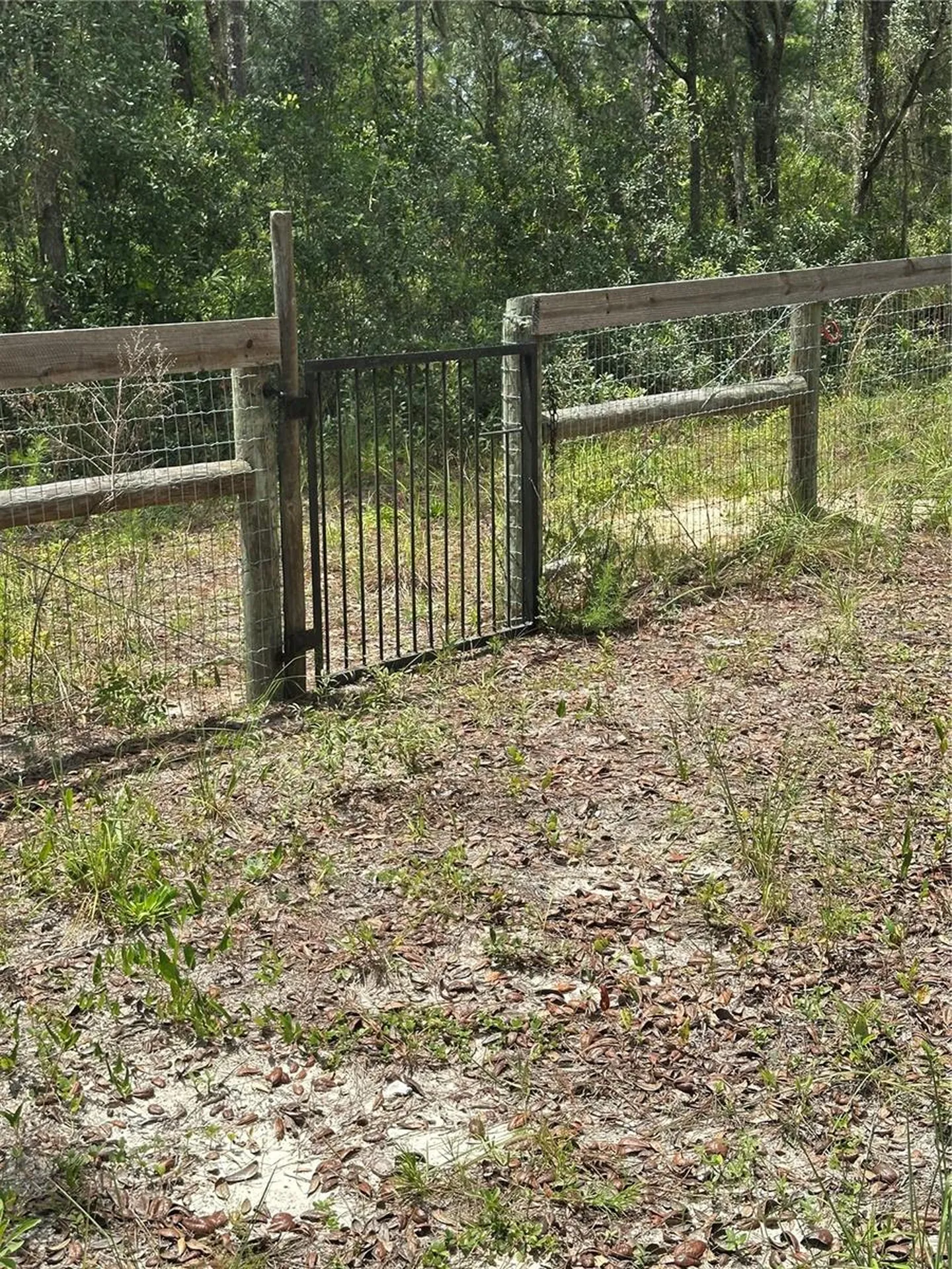 5730 SE County Road 337 Morriston FL 32668