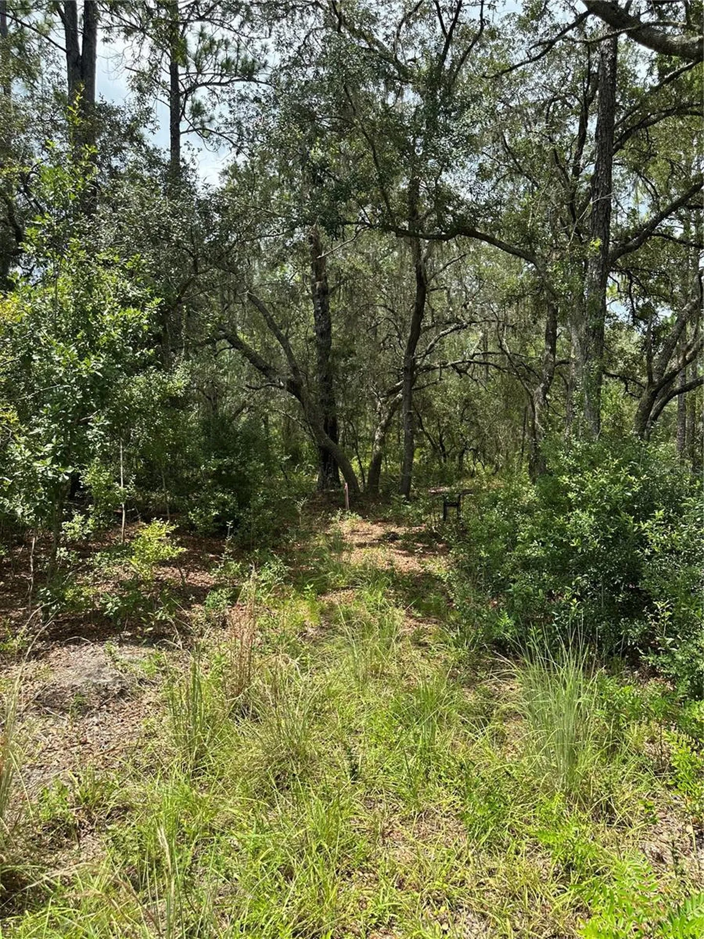 5730 SE County Road 337 Morriston FL 32668