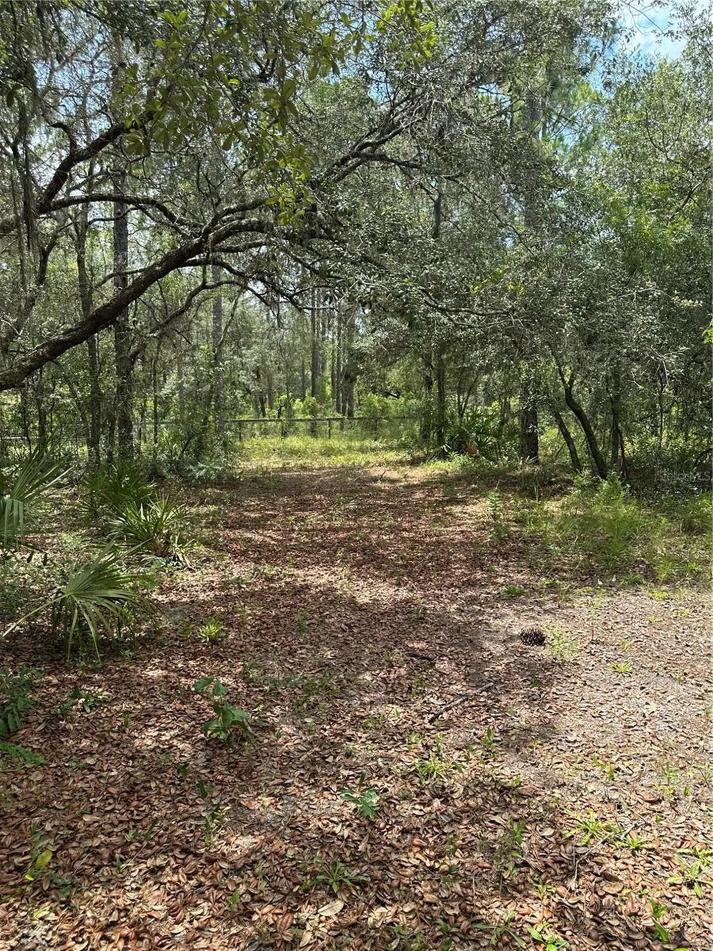 5730 SE County Road 337 Morriston FL 32668