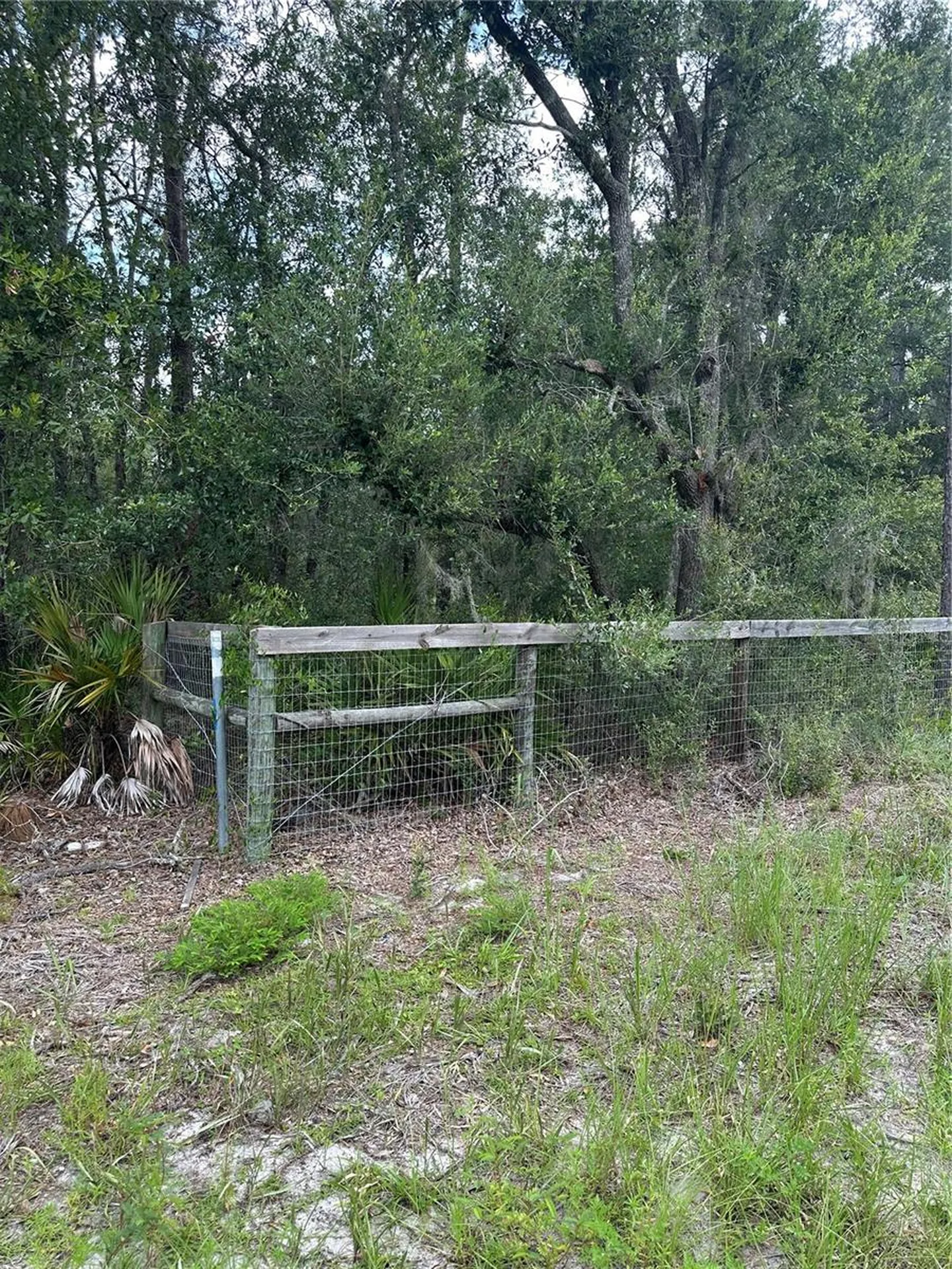 5730 SE County Road 337 Morriston FL 32668