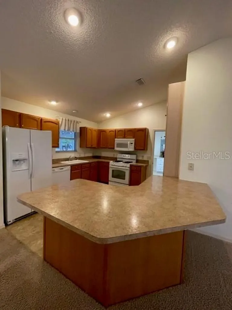 1704 Lisette Way The Villages FL 32162