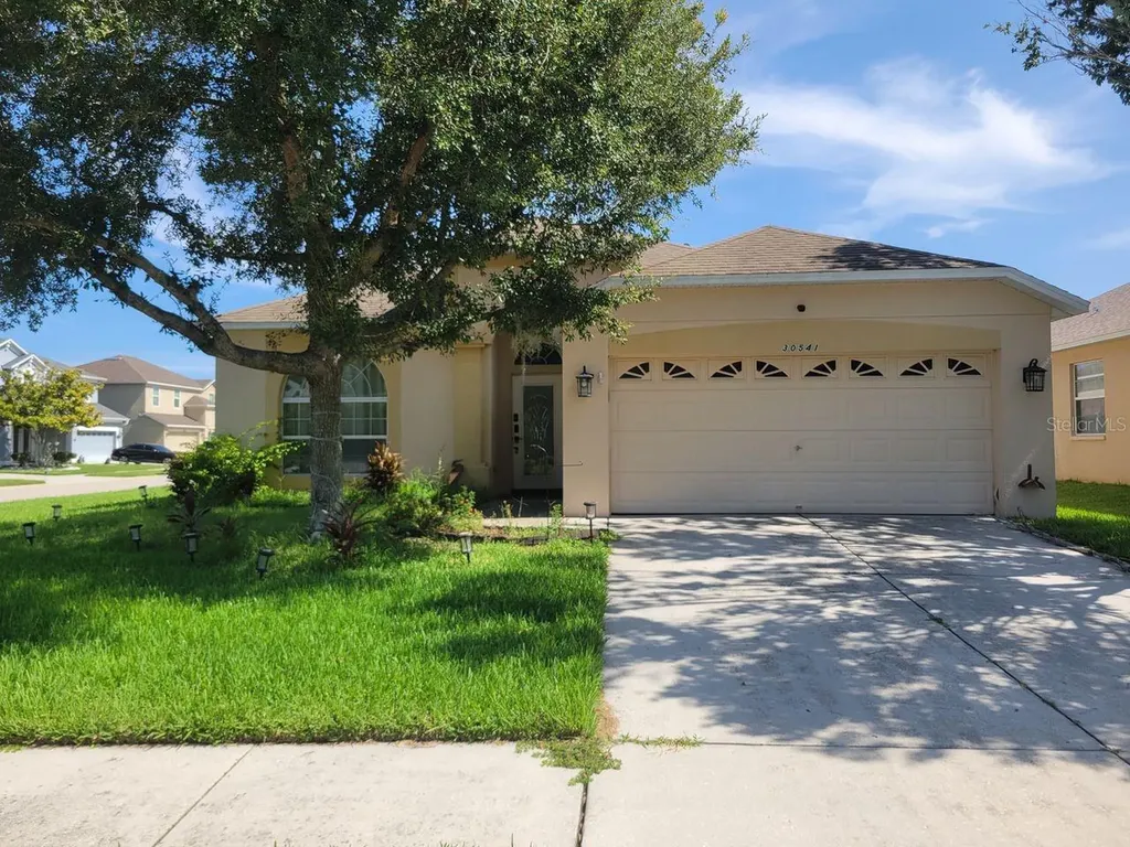 30541 Norseman Place Wesley Chapel FL 33545