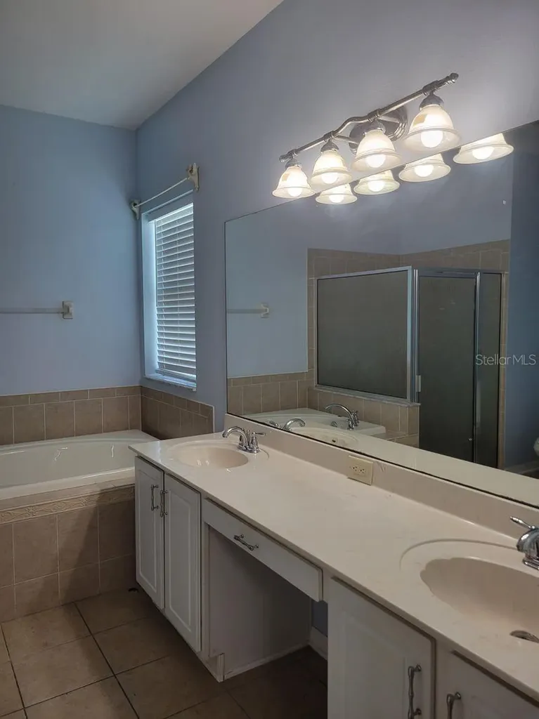 30541 Norseman Place Wesley Chapel FL 33545