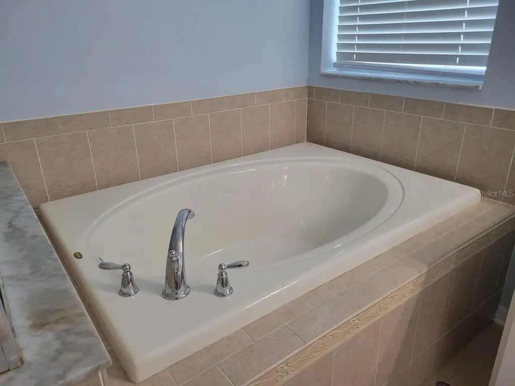 30541 Norseman Place Wesley Chapel FL 33545