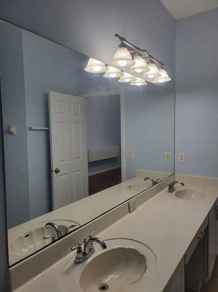 30541 Norseman Place Wesley Chapel FL 33545