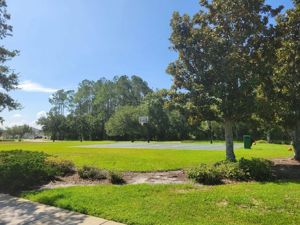 30541 Norseman Place Wesley Chapel FL 33545