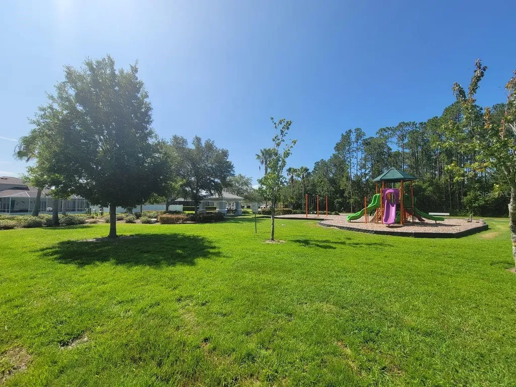 30541 Norseman Place Wesley Chapel FL 33545