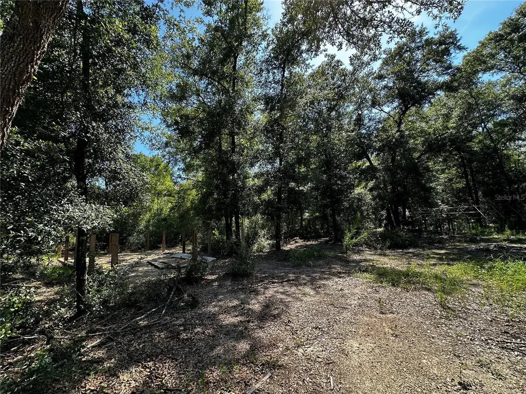 Tbd NE 81st Street Bronson FL 32621