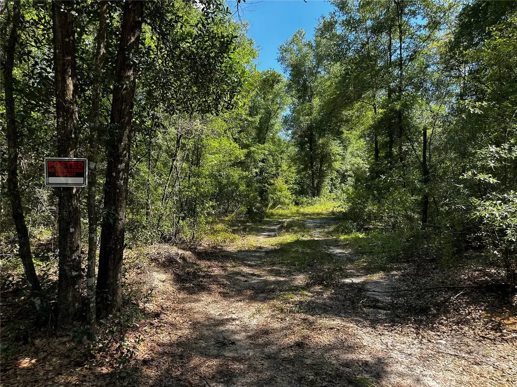 Tbd NE 81st Street Bronson FL 32621